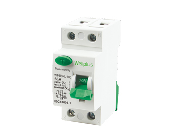 WPB6RL-100 Residual Current Circuit Breaker