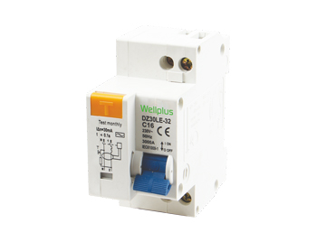 DZ30LE-32 Residual Current Circuit Breaker with Over Current Protection