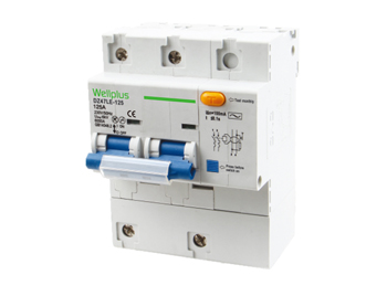 DZ47LE-125 Residual Current Circuit Breaker with Over Current Protection