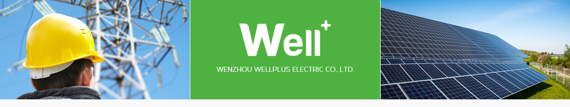 WELLPLUS